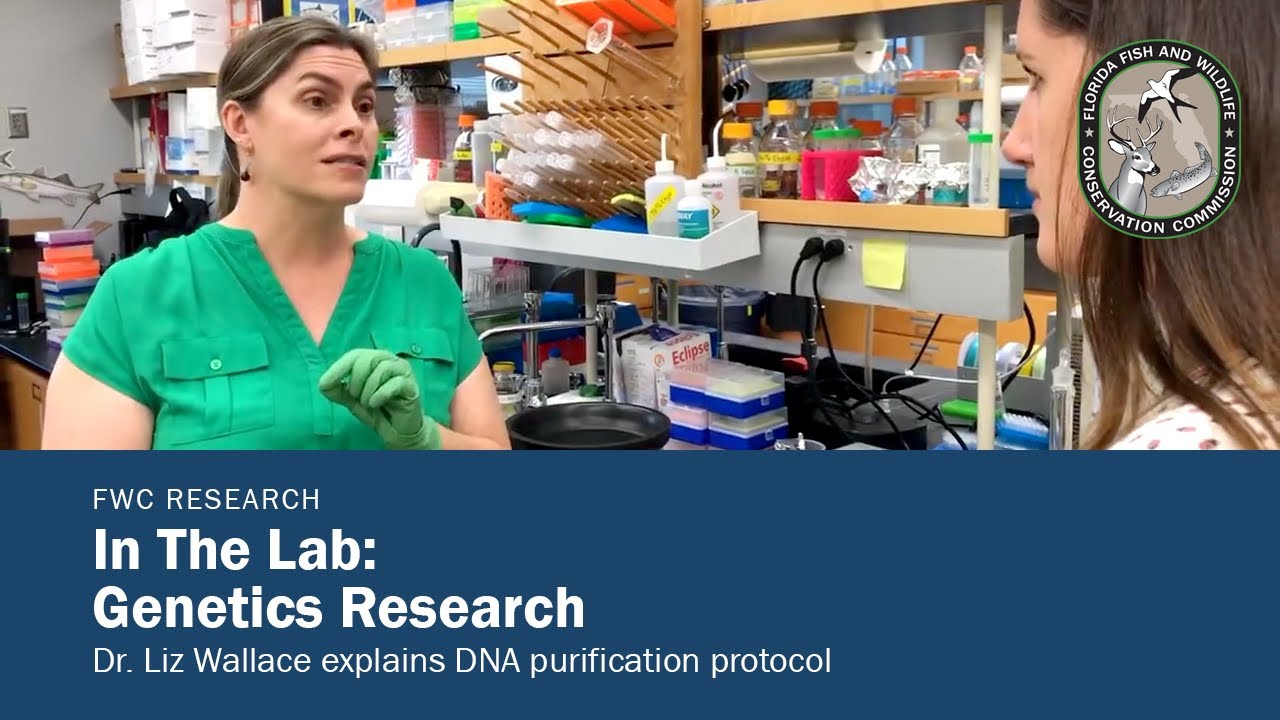 In the Lab: Genetics Research