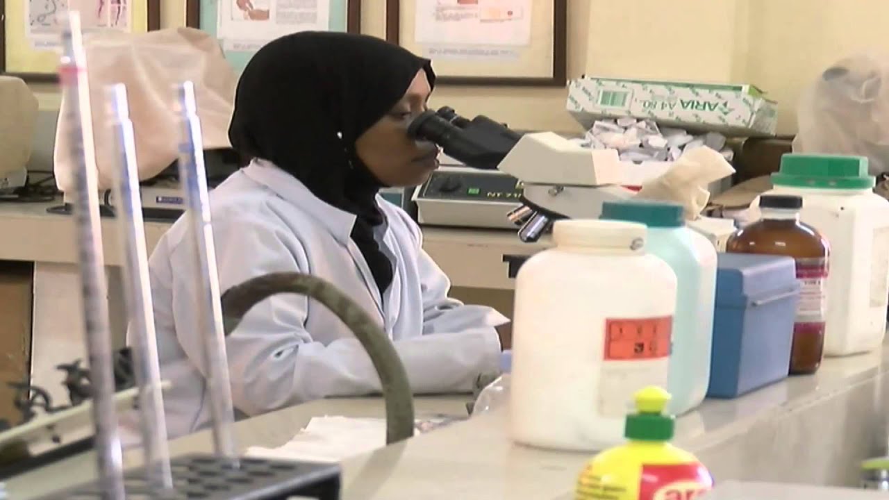 Health Focus: Zanzibar's anti-malaria success story