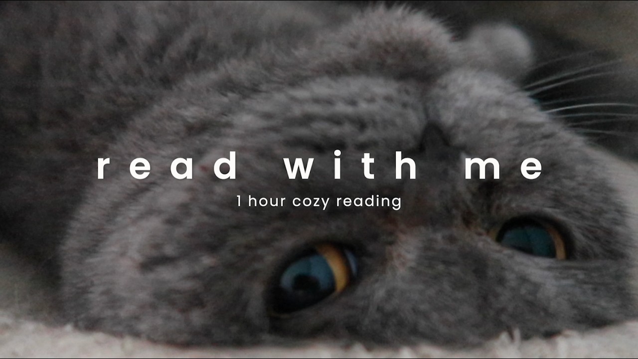 A Cozy Hour of Reading with My Scottish Husband | Read With Me 📚 | 스코틀랜드 남편과 1시간 같이 책 읽어요 (빗소리🌧️)