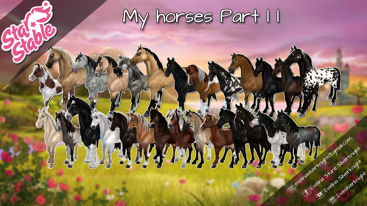 StarStable Online | My Horses Part Two
