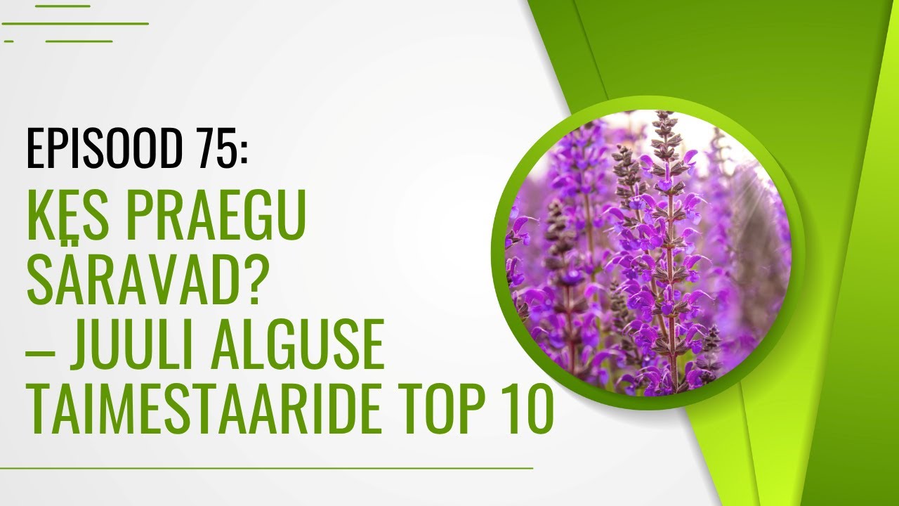 EPISOOD 75: Kes praegu säravad? – Juuli alguse taimestaaride TOP 10