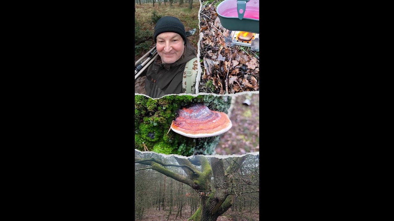 Ein Schlumpf im #wald  sieht Rot ,Augenentzündung und Frostschutzmittel getrunken  °_° ??