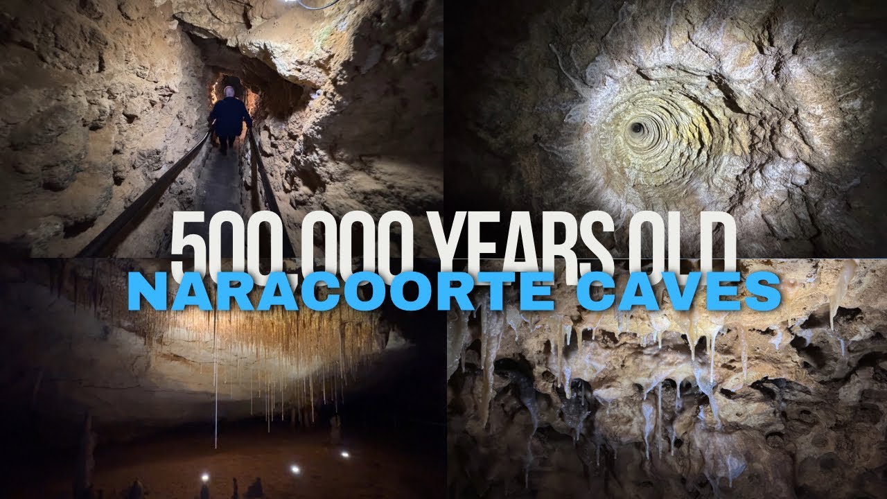 Naracoorte Caves Tour – Australia’s Only World Heritage Cave System