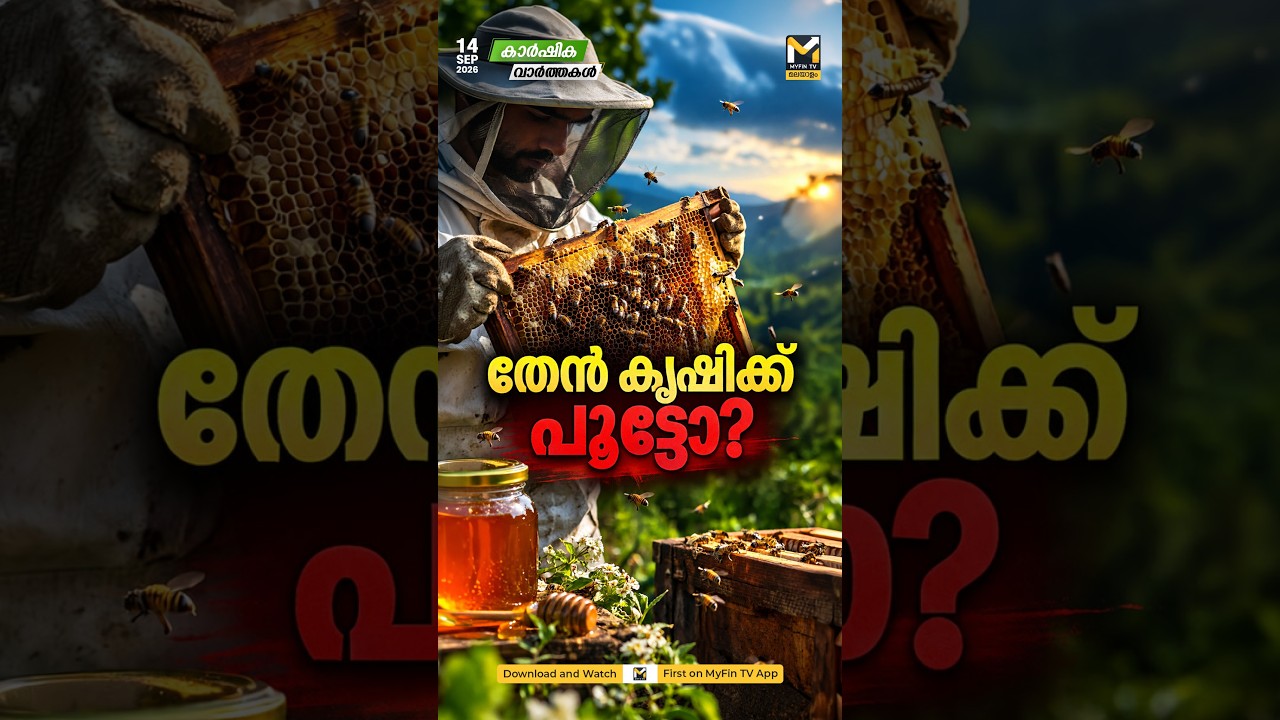 തേനീച്ചക്കര്&zwj;ഷകര്&zwj; കടുത്ത പ്രതിസന്ധിയില്&zwj;