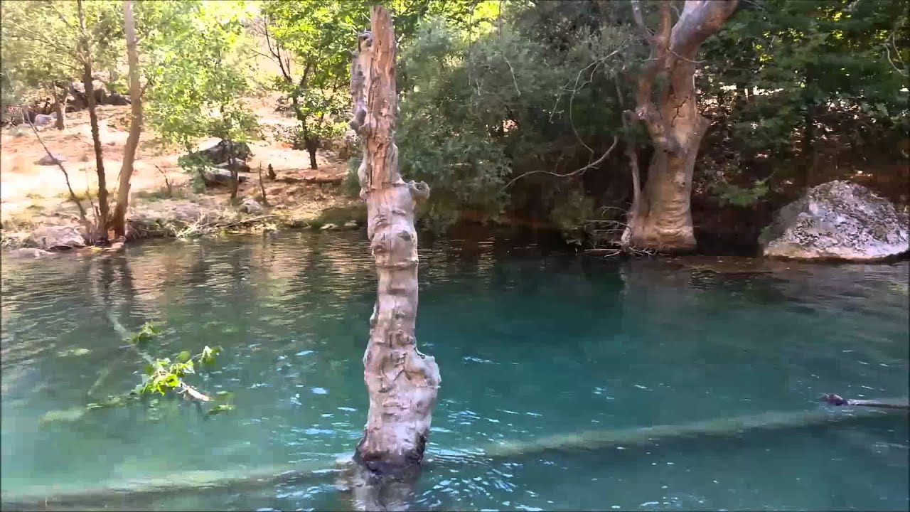 Kızılgecit