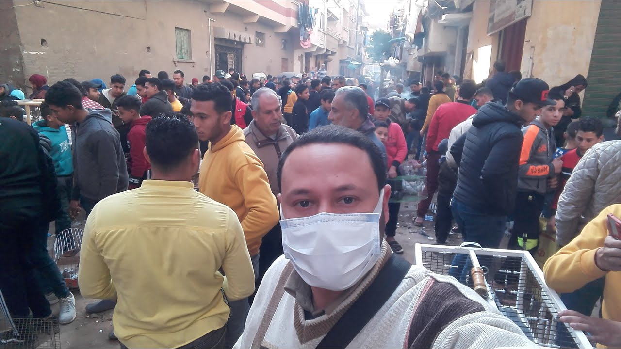 #جولة_في_سوق_خورشيد_للطيور_يوم_الاحد  من داخل السوق صورنا الحمام وعرفنا اسعاره