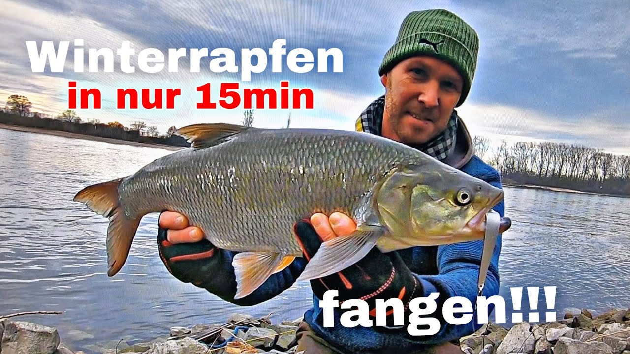 Winter Rapfen in nur 15 Minuten fangen!