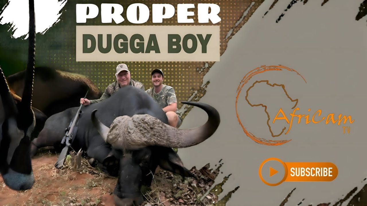 AfriCam - This is proper Buffalo and plains game hunting!