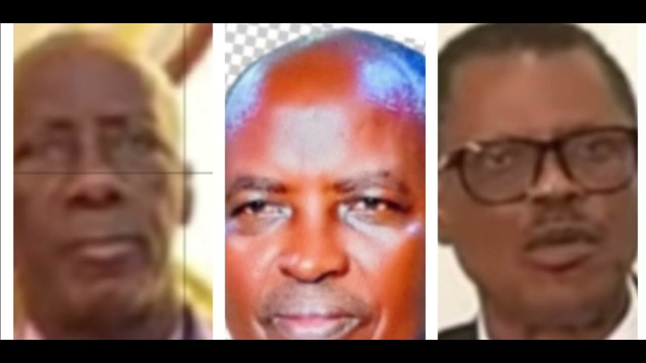 UYU MUSI ENOKE YITAVYE MURI PARQUET. MBEGA COMITÉ DE SURVEILLANCE KW'ATA NA KIMWE TURABONA IKORA?