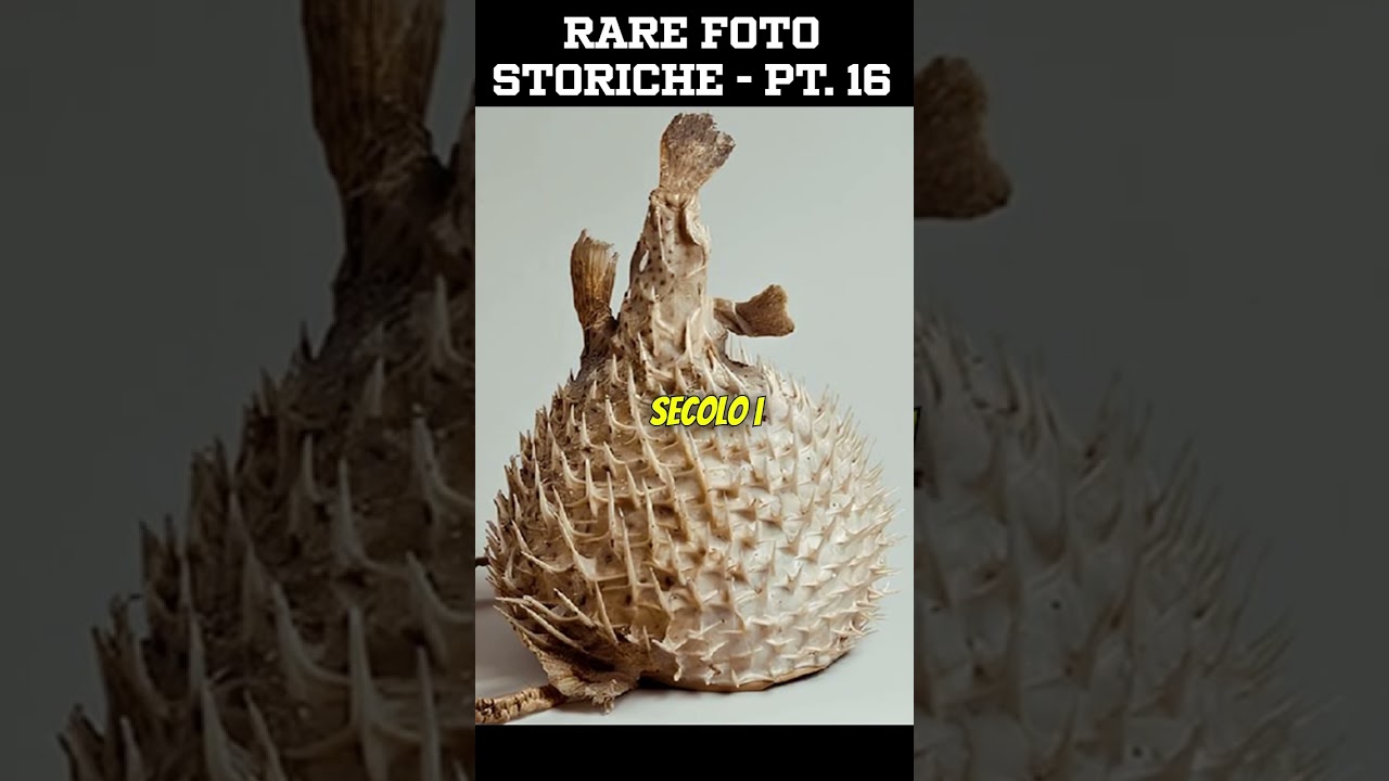 FOTO RARE storiche reali - PT 16.  #fattistorici #fotostoriche #curiosit&agrave;storiche