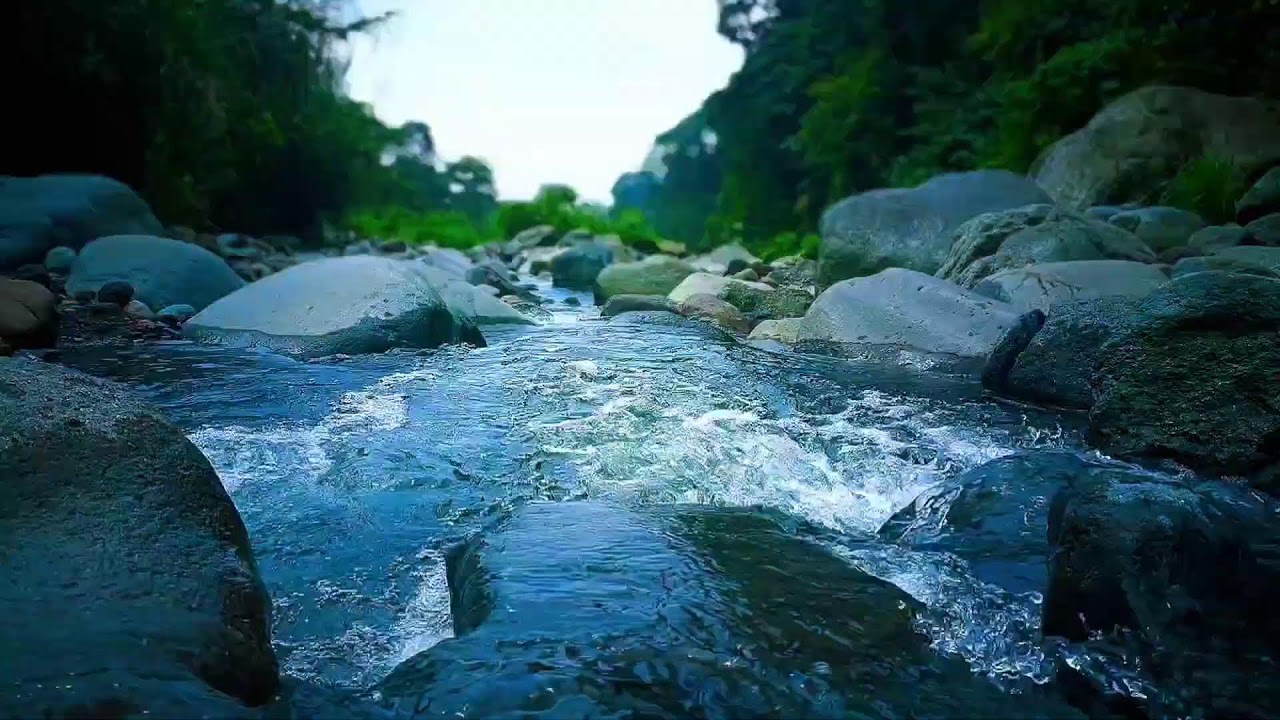 🍃 Soft River Valley ASMR Sounds for Deep Sleep, Relaxation & Stress Relief