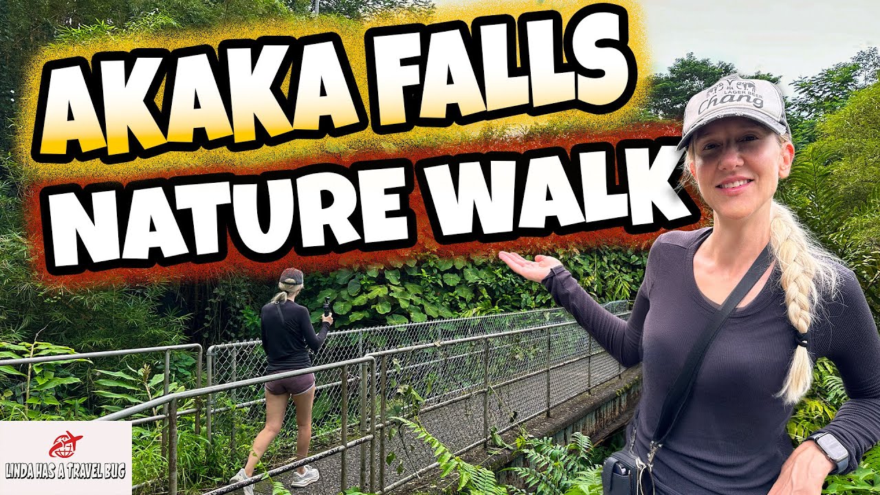 Akaka & Kahuna Falls Loop ASMR Walk | Peaceful Hawaii Waterfalls, Banyan Tree, December