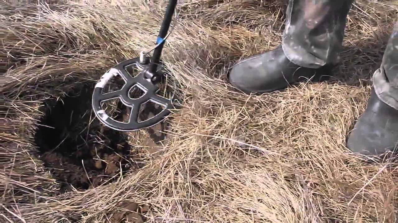 Поиск чешуи на выбитой корчме. Тесоро Тежон.