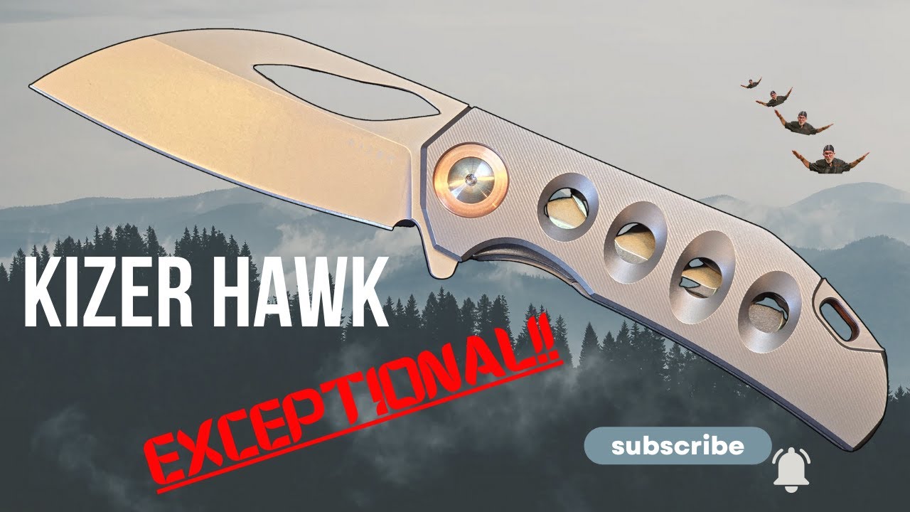 Kizer Hawk #knifereview #knifedisassembly #kizerknives #kizerhawk