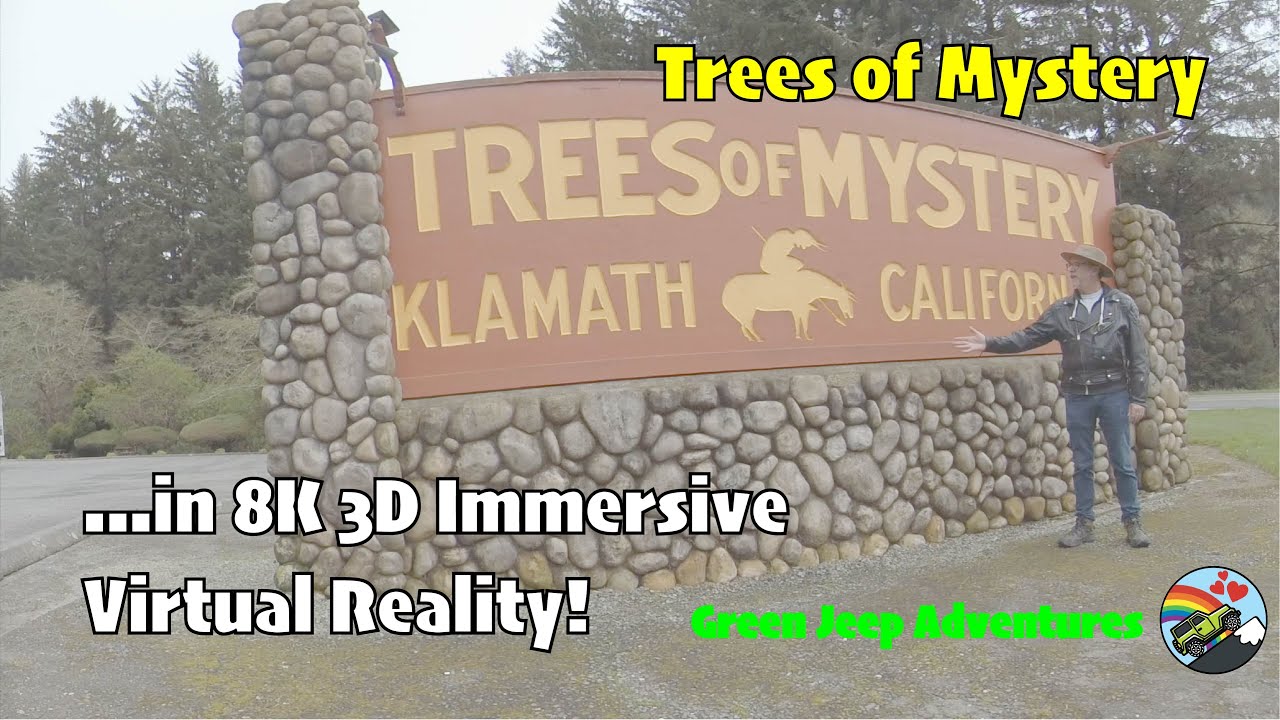 8K 3D Immersive VR: See The Stunning Redwoods at Trees of Mystery