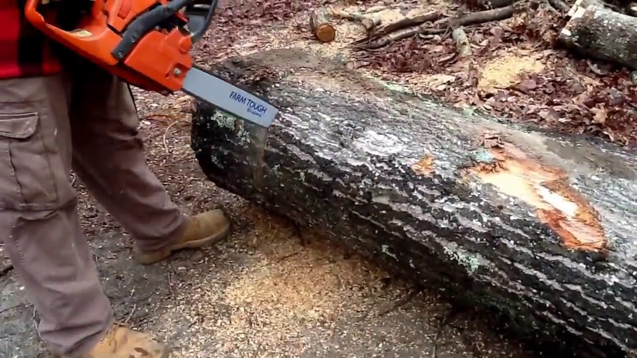 How powerful is a Husqvarna chainsaw? The Rancher 450 put to the test!