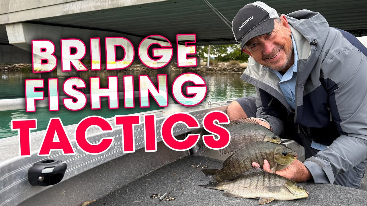 Bridge Fishing KEYS You Need To Know!