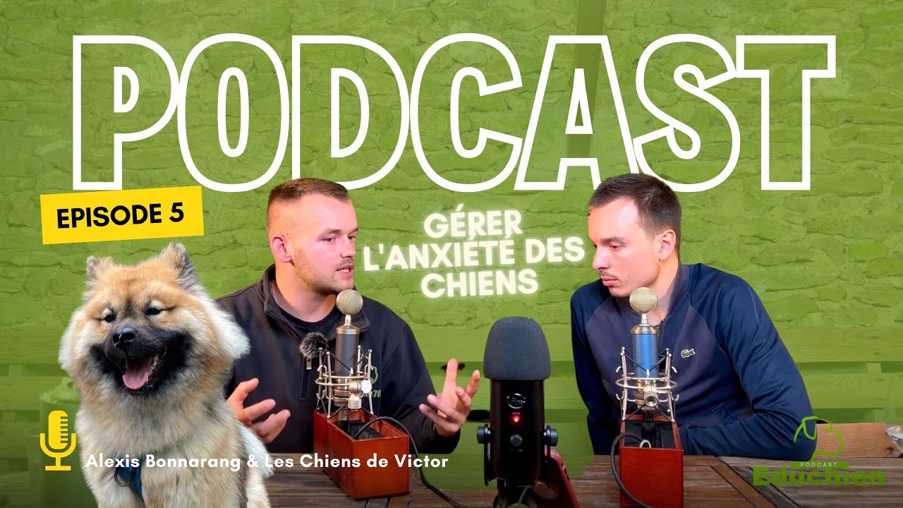 Gérer l'Anxiété des Chiens : Une Approche en Douceur - EDUCHIEN PODCAST 🎙️
