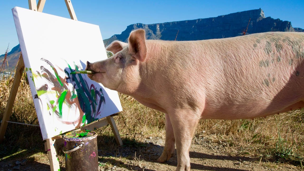 Pig Saved From Slaughter Becomes An Artist