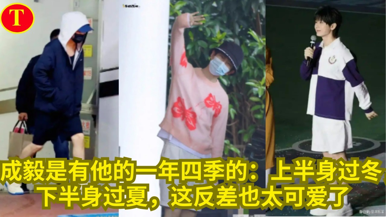 成毅是有他的一年四季的：上半身过冬，下半身过夏，这反差也太可爱了