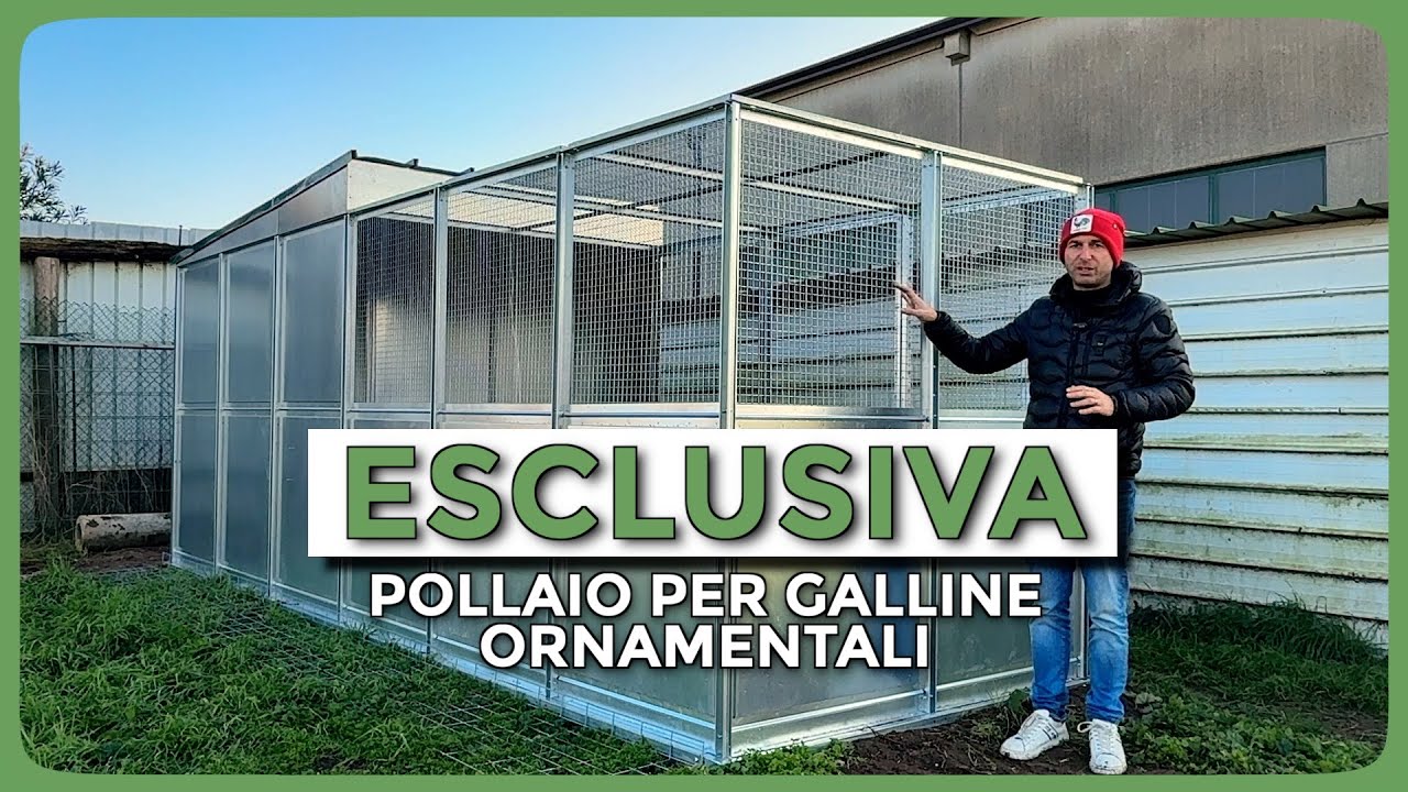 Nuovi Box Modulari Chiavi in mano: pollaio 6x2 metri