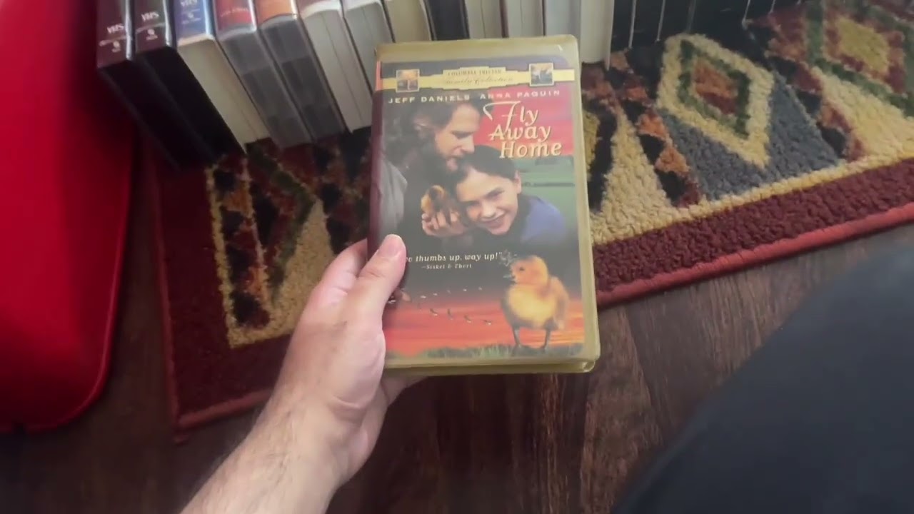 My Movies VHS Collection (2025 Edition)