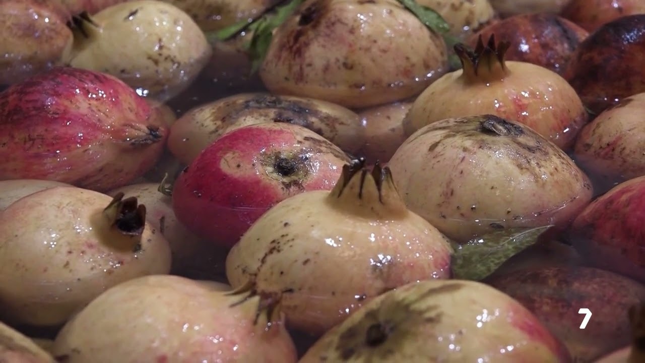 Dal melograno al laboratorio: nasce così un succo di melograno con evidenza scientifica.