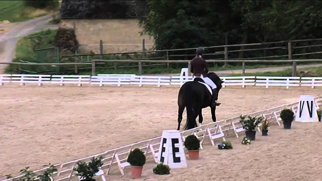 Drezura 5letí koně - finále KMK Zduchovice 2015