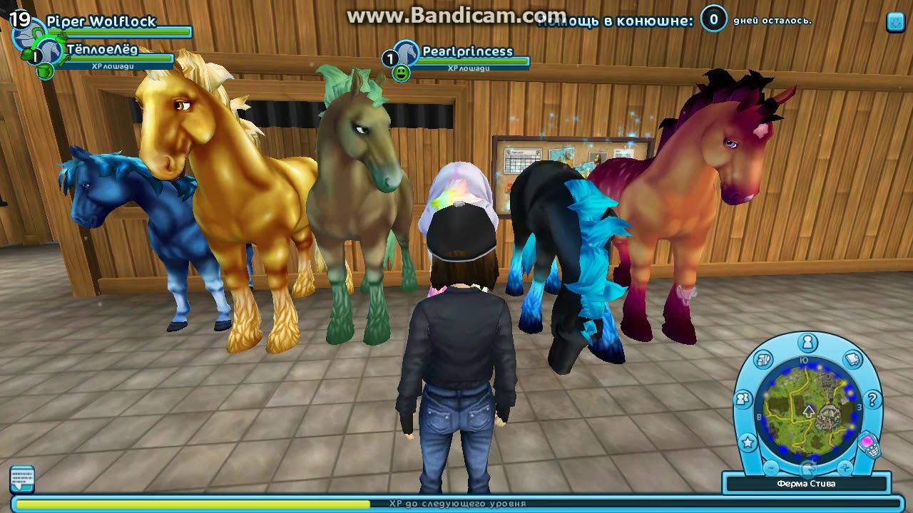 Buying all the JWH!!! Star Stable | Jorvik Wild Horses!