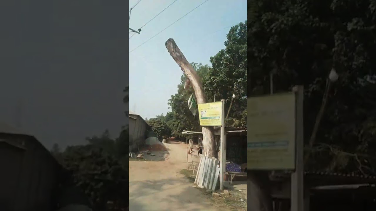 কতফসল দেখুম