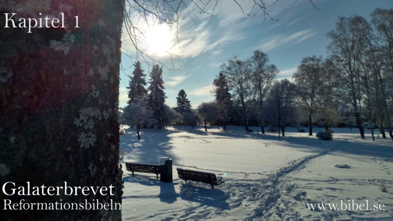 Galaterbrevet | Reformationsbibeln | NT | Bibeln | Bibel | Ljudbok | ljudbibel