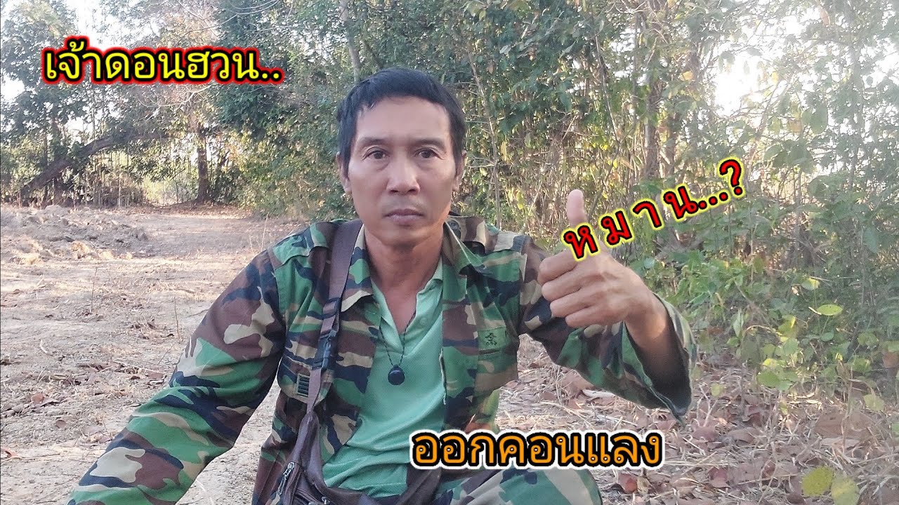 เจ้าดอนฮวน ออกคอนแลง.ตามนกป่าหมายเป็นต่อ  #ต่อนกเขาใหญ่