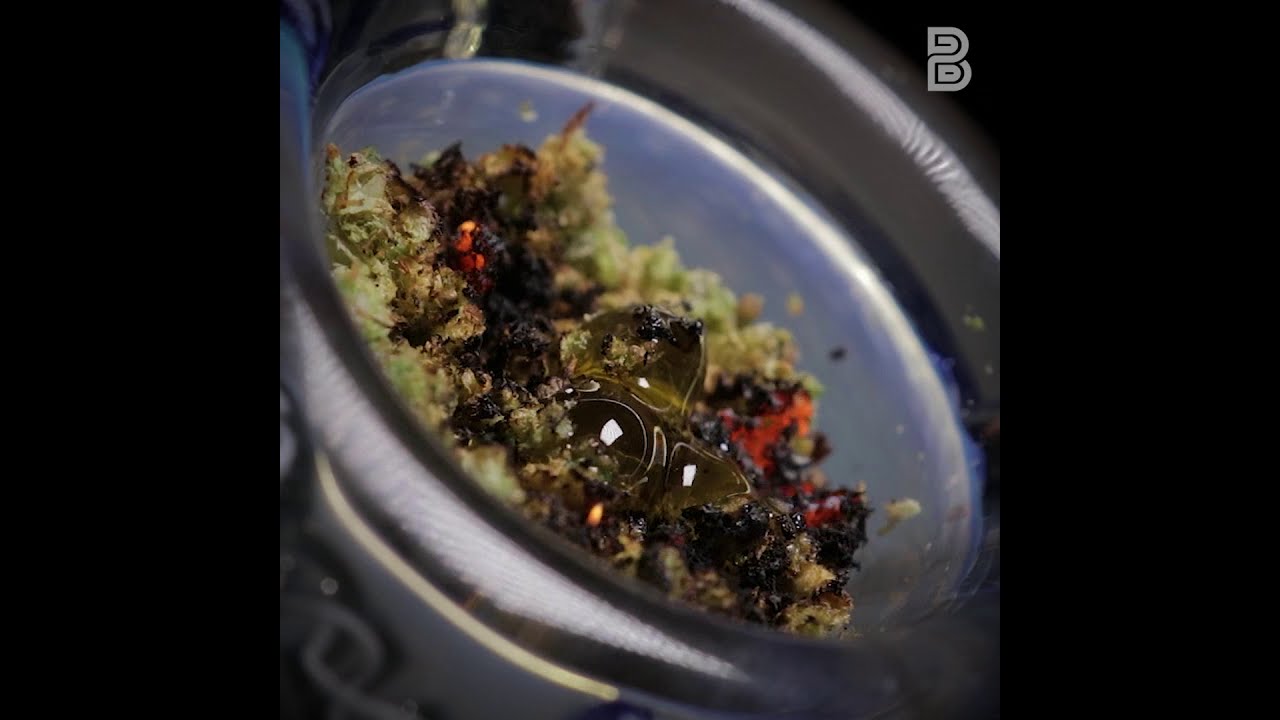 Balls of Shatter Melting Over Cannabis Flower | Budsbie Burns (Ep.13)