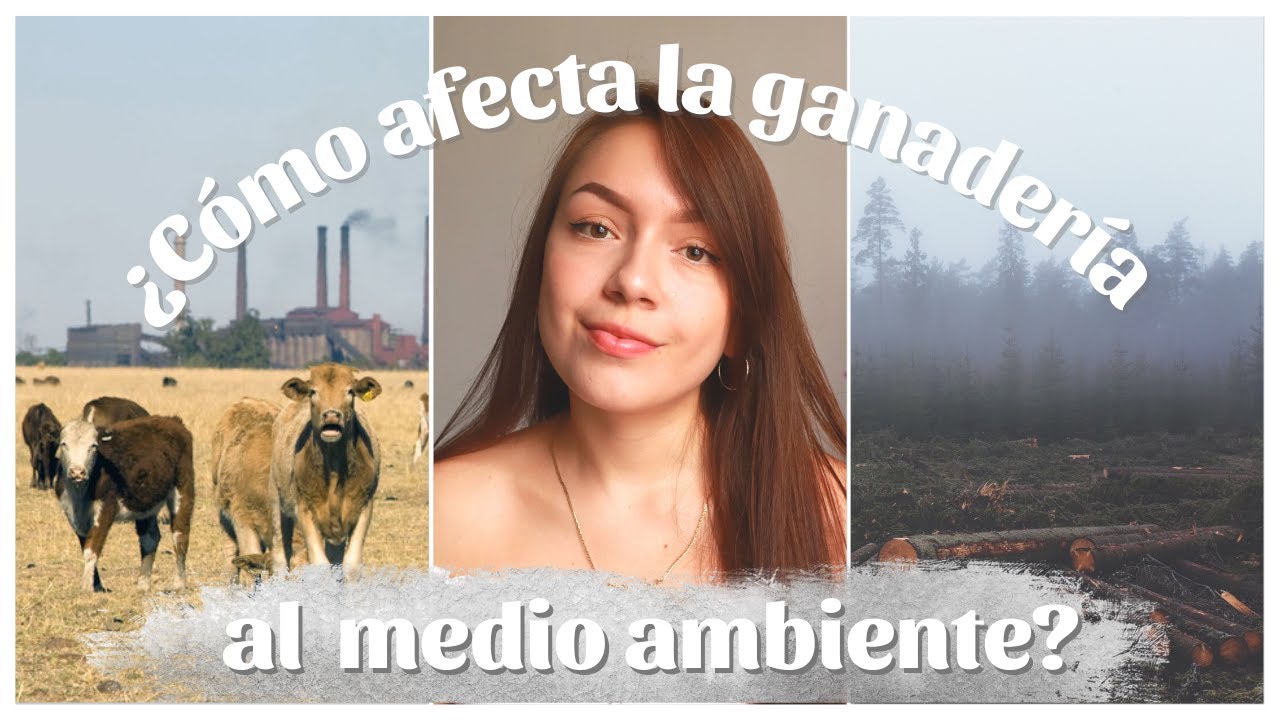 Ganadería, consumo de carne y su impacto ambiental