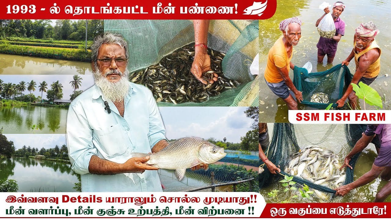 மீன் வளர்ப்பு இவ்வளவு விஷயம் இருக்கா!!Beginners Must watch|  SSM Fish Farm