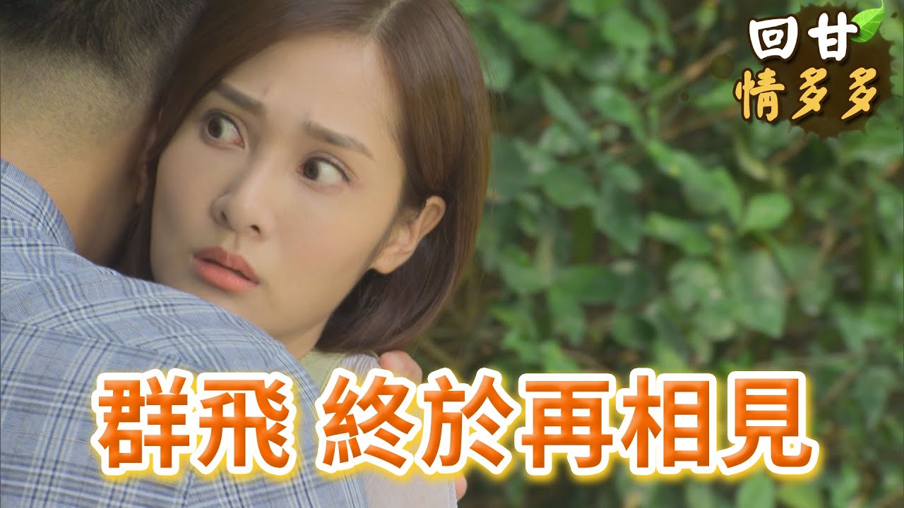 《回甘情多多》EP254 群飛 終於再相見