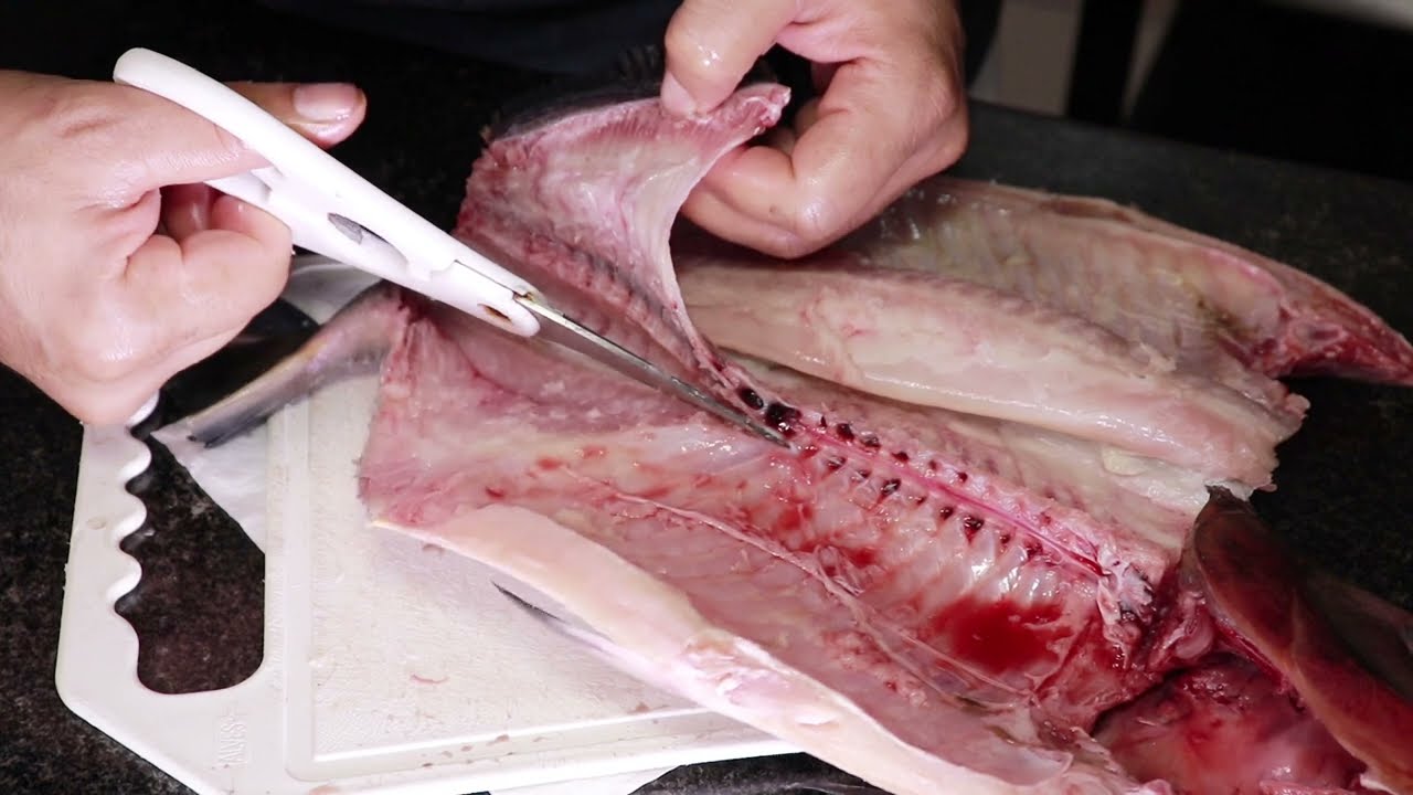 Pacu sem espinhas, COMO TIRAR TODAS AS ESPINHAS - Passo a passo - 1⁰ vídeo 