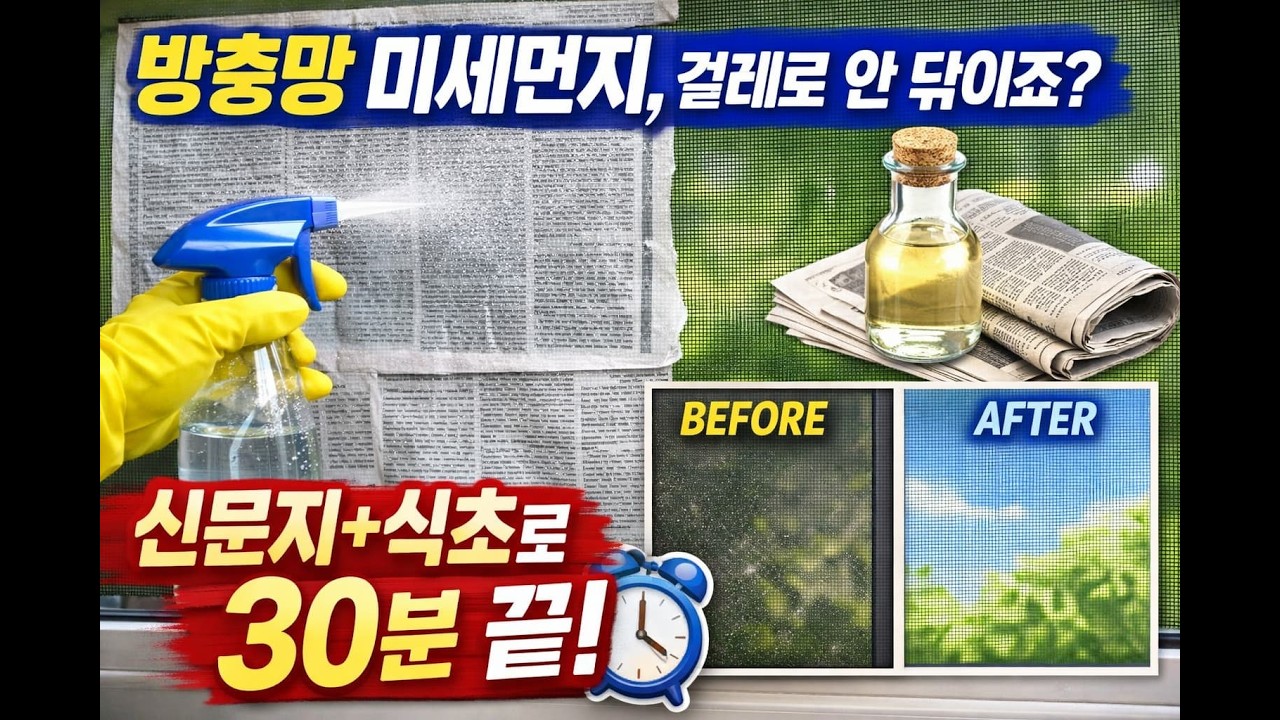 방충망 미세먼지, 걸레로 안 닦이죠 신문지+식초로 30분 끝