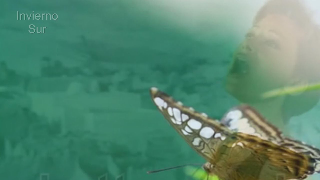 Paloma San Basilio - La mariposa
