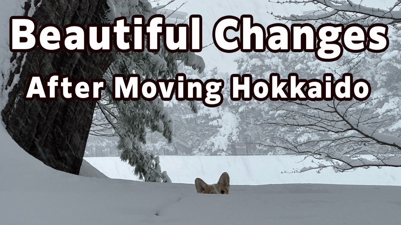 The happy changes I noticed after moving to Hokkaido :)