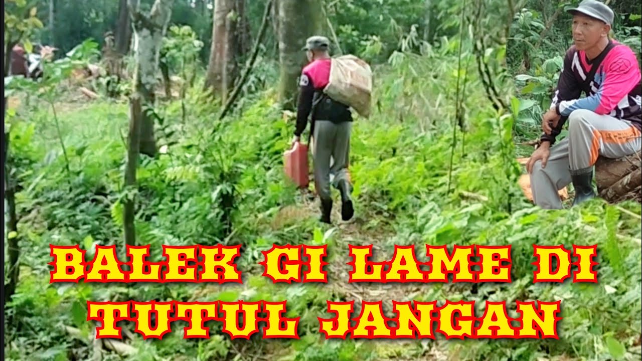 gitar tunggal sumsel