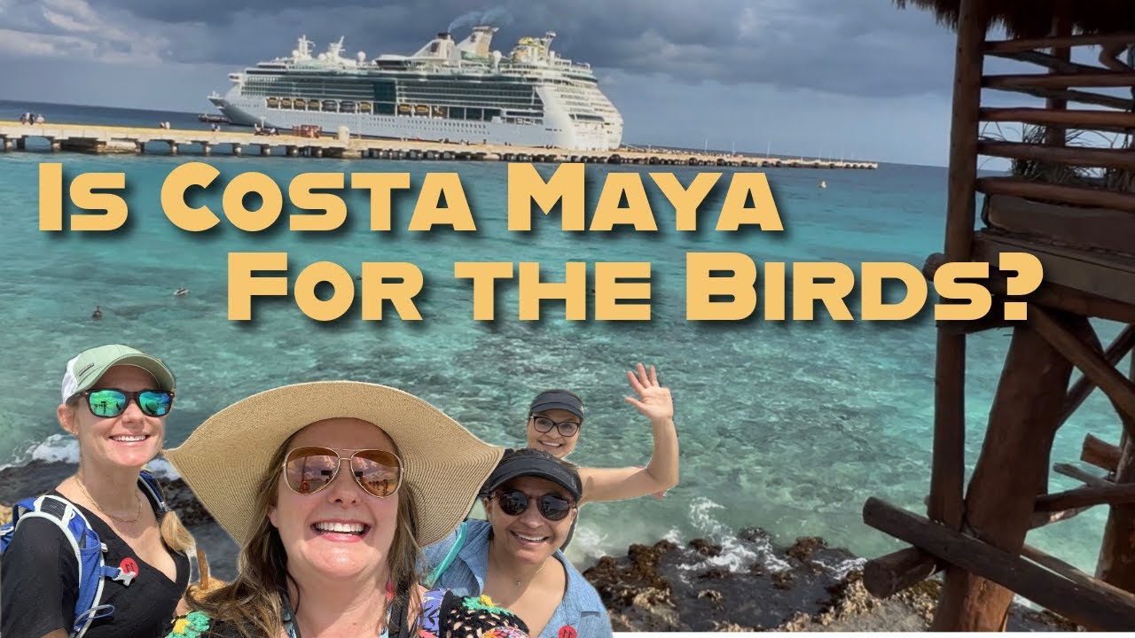 Costa Maya Mexican Salsa Experience and Beach Break..plus a tour of the port and Aviarius.