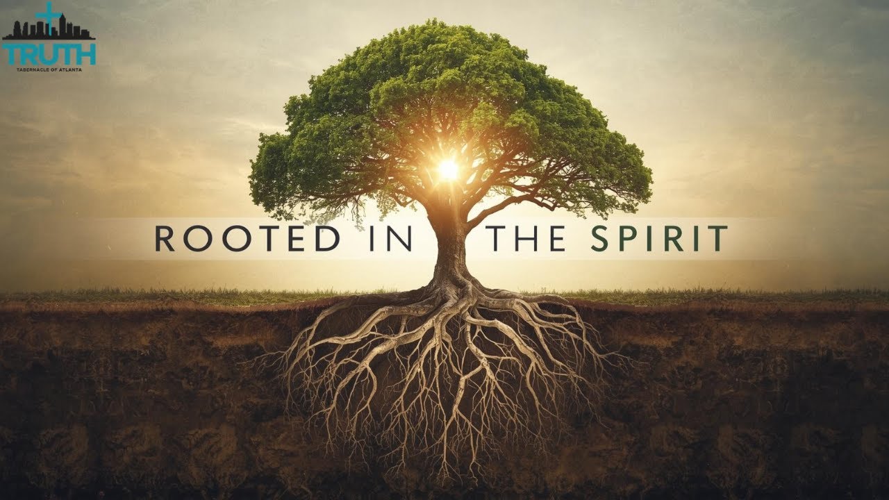 Rooted In The Spirit