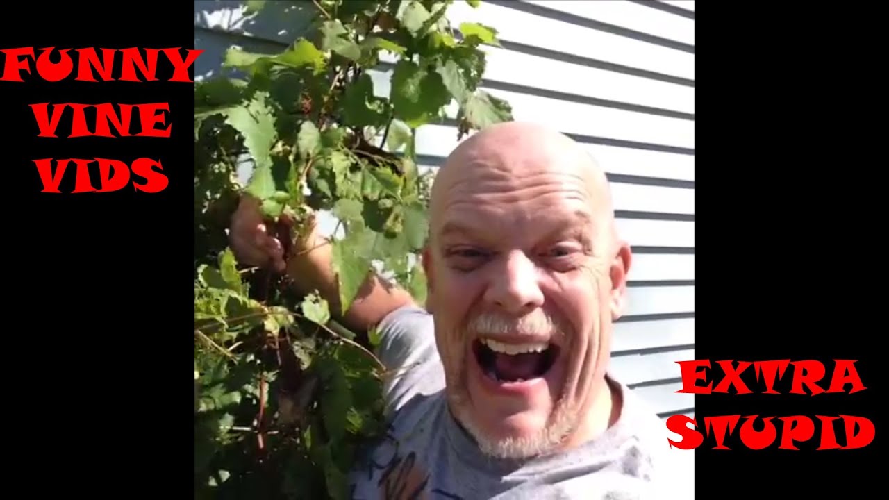 Funny Vine Videos Best Of Our Recent Vines | High School & Dropping Kids On Their Head