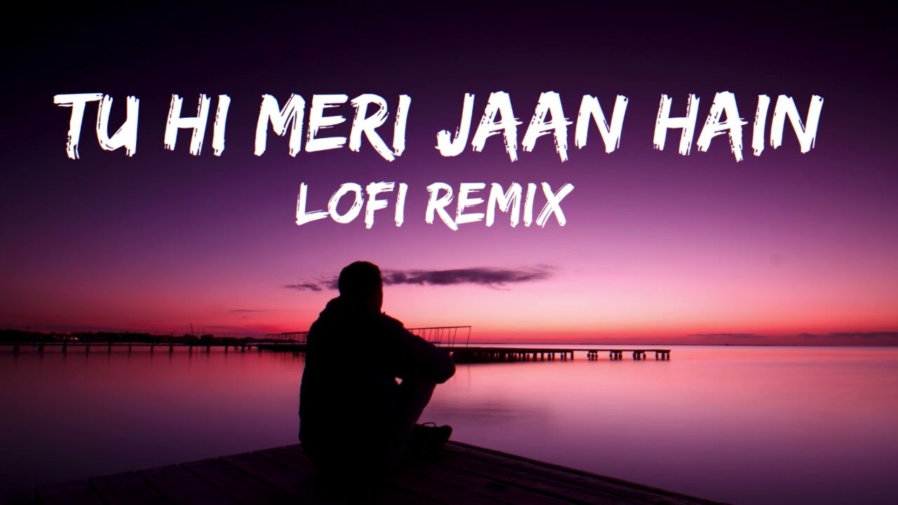 Tu Hi Meri Jaan Hain | Lofi Remix | Hindi Chill Vibes | No Copyright Music