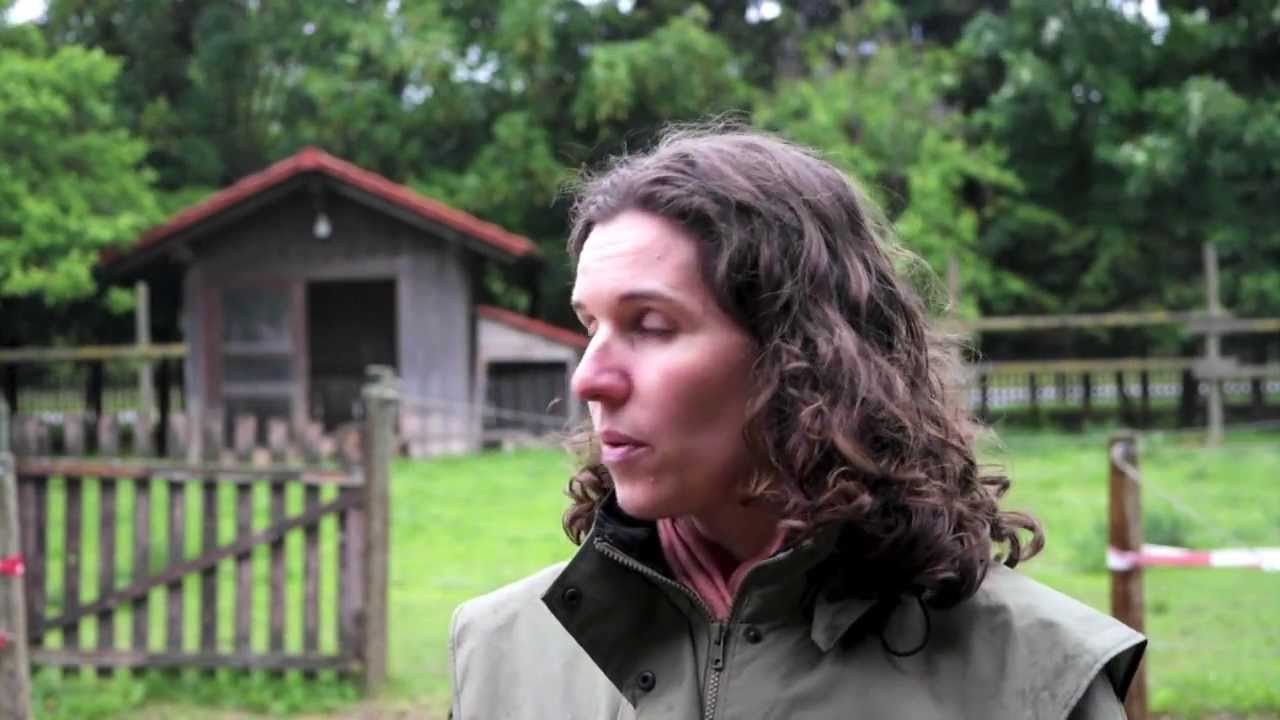 [PaardencoachTips] Wat doe je als het regent?
