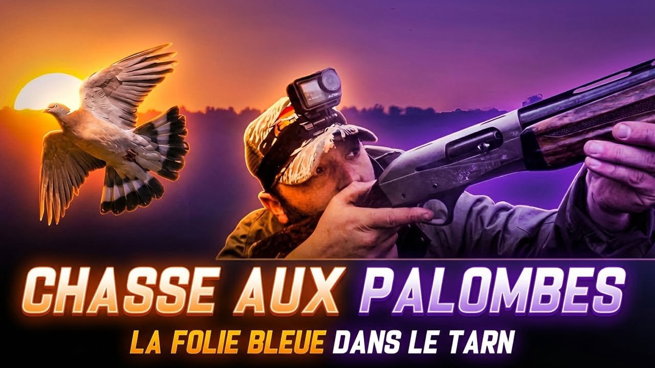 [VLOG] CHASSE À LA PALOMBE dans le TARN 🇫🇷 | Nature & Passion en Pleine Forêt