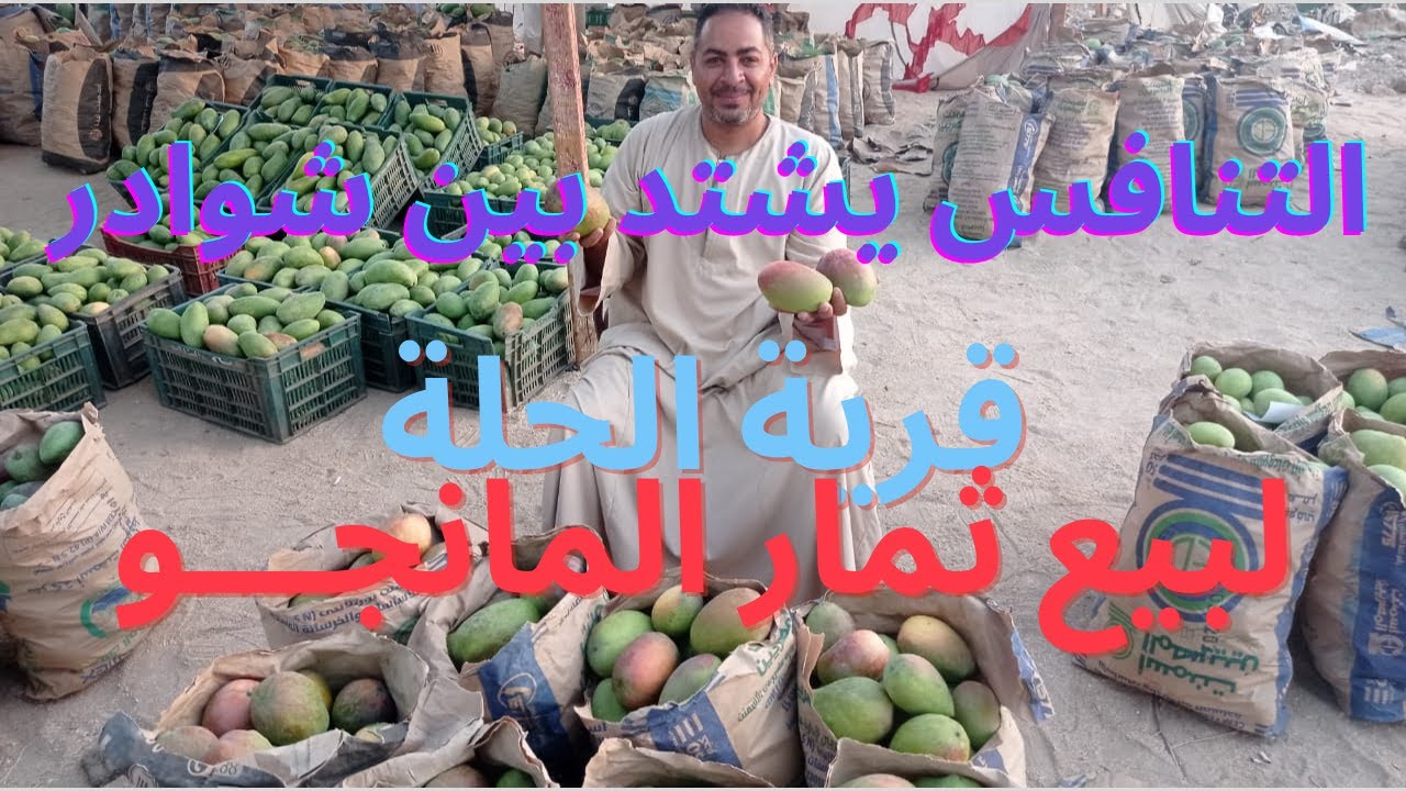 تنافس شدبد لشوادر بيع المانجو-بقرية الحله اسنا -شادر معلم /ابراهيم به جميع  الاصناف البلدى والاجنبى