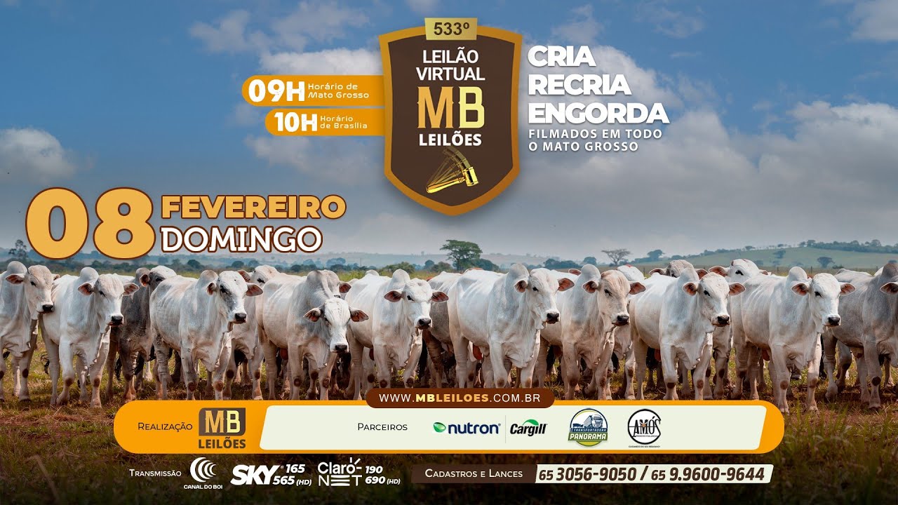 533&deg; LEIL&Atilde;O VIRTUAL - MB LEIL&Otilde;ES