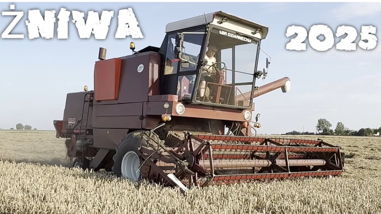 Żniwa 2025 😎 W Pełni 😍Kosimy Pszenice 🌾 Hp Osale